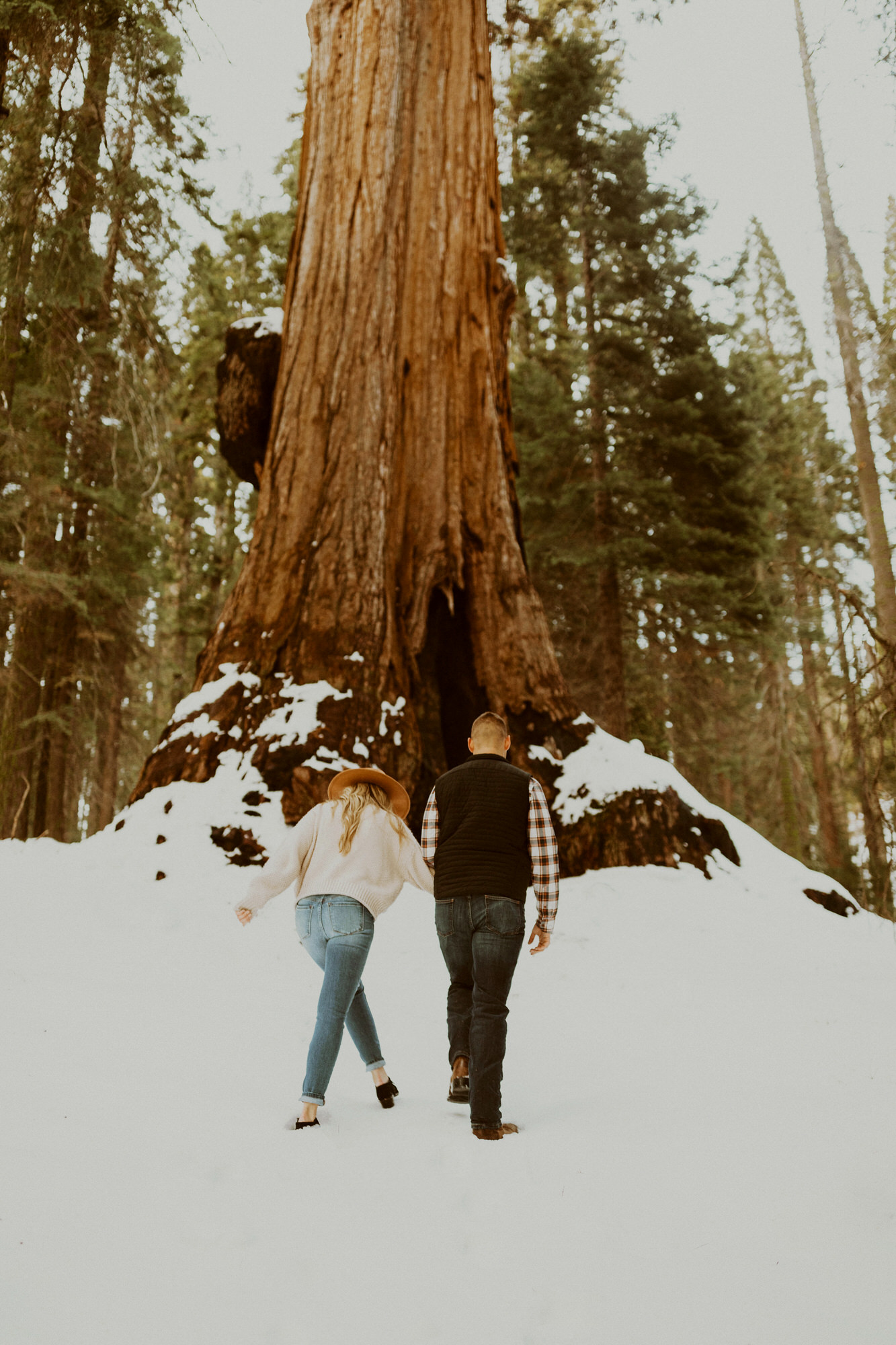 Couple Engagement Photoshoot in Sequoia National Park