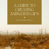 gif guide